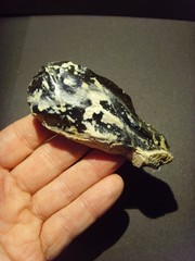 Lower Paleolithic – Fine Acheulean scraper. c.450,000 BP.