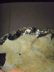 Lower Paleolithic – Large Acheulean ovate scraper. c.450,000 BP.