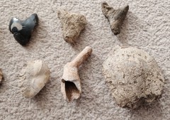Archaeological Finds, Origin Unknown, Artifacts