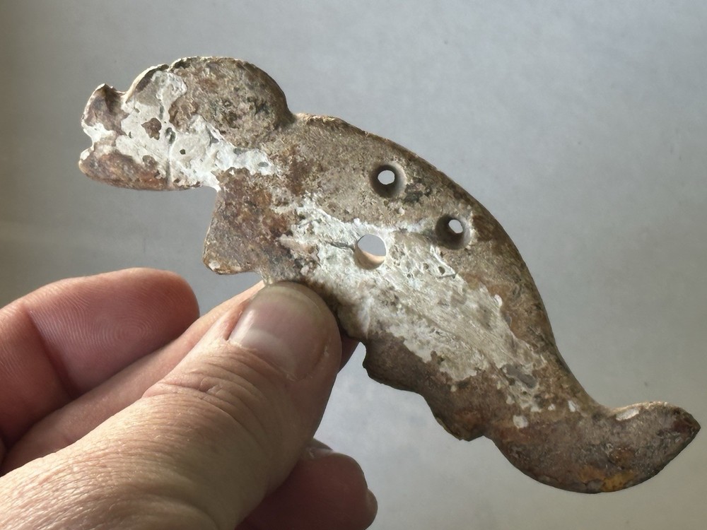 INCREDIBLE PRE-COLUMBIAN JAGUAR EFFIGY SHELL PENDANT/ GORGET, MEXICO, MOTLEY COA
