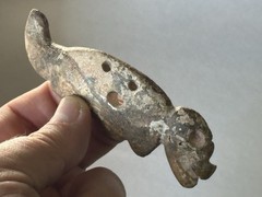 INCREDIBLE PRE-COLUMBIAN JAGUAR EFFIGY SHELL PENDANT/ GORGET, MEXICO, MOTLEY COA