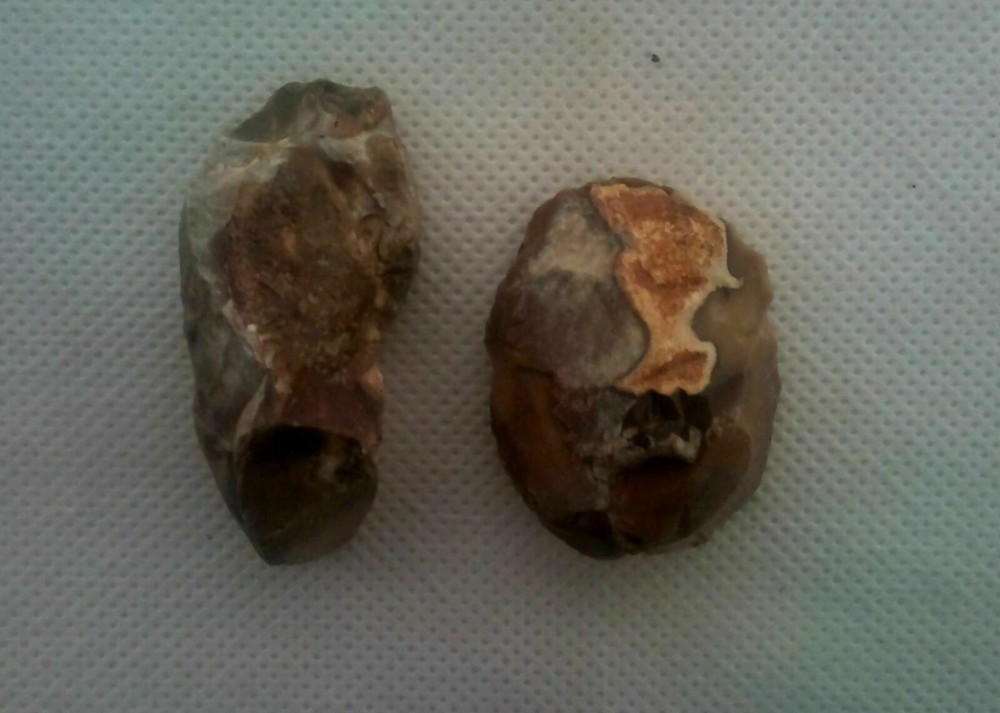 Lower Paleolithic Levallois technique 1.4MYO Jordan Valley Israel