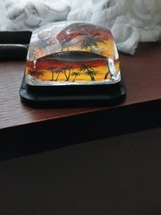 Bahamas Tropical Souvenir