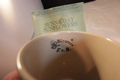 NWT Boyds Bears Loyal Order of Friends of Boyds MUG Sunny Day Sunflowers Seeds
