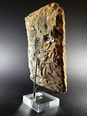 DETAILED ANCIENT N-EASTERN STONE FRAGMENT DEPICTING WINGED GENIE C 800-700 BC
