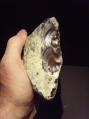 Lower Paleolithic – Very Fine Acheulean side scraper/chopper. c.450,000 BP.