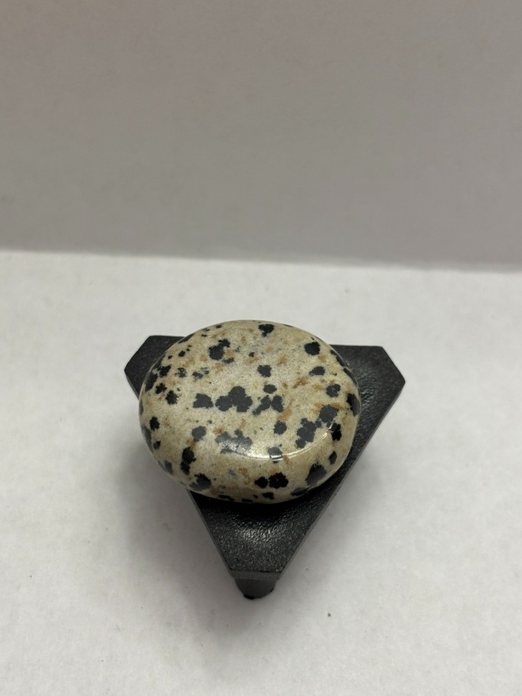 Polished Dalmatian Jasper gemstone 1.25”