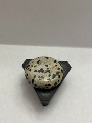 Polished Dalmatian Jasper gemstone 1.25”