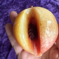 Alabaster 3″ Stone Fruit Peach Apricot Vintage Exposed Pit Seed Wood Stem