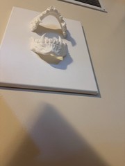 3D printed Vampire decor ,Wall Art, horror Halloween decor , gothic