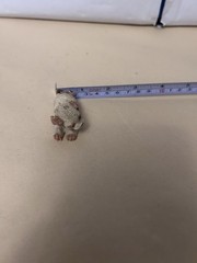 VTG Small Unbranded Used Figurine White/brown lying down dog