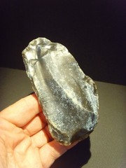 Lower Paleolithic – Superb Acheulean side scraper. c.450,000 BP.