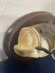 Decorative Replica Bass Fish Mounted Wood Plaque 11”