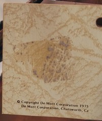 Vtg John De Mott Copper 10″ Sail Boat on Quartz Base Signed Nautical Gift