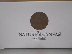 Bob Olszewski Bass Natures Canvas Collectable Trinket Box