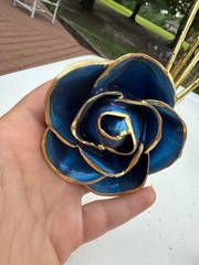 gold dipped rose steven singer