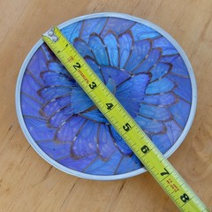 Vintage Iridescent Blue Purple Morpho Butterly Wing Small Wall Plate Morpho Art