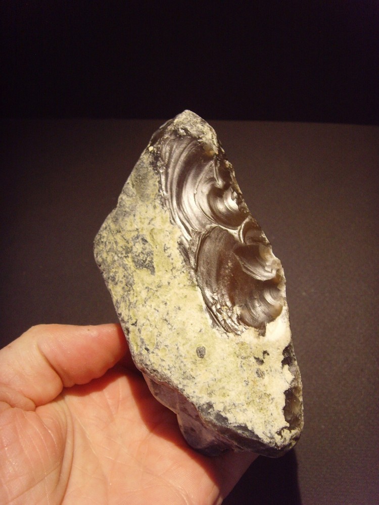 Lower Paleolithic – Very Fine Acheulean side scraper/chopper. c.450,000 BP.