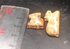 Very Rare Egyptian Natural Jasper Stone Wild Animals Amulet Bead