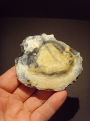 Lower Paleolithic – Fine Acheulean ovate scraper. c.450,000 BP.