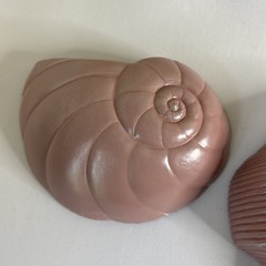 Vintage Mauve Pink Bathroom Wall Decor Seashells Art Burwood 1980s Conch Shell