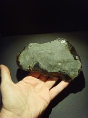 Lower Paleolithic – Large Acheulean ‘planular’ chopper c.450,000 BP.