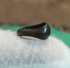 Unknown Artifact Peace Metal Detecting Find (88)