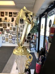 TROPHY CUP LARGE FREE LETTERING ACHIEVEMENT AWARD BEAUTIFUL P-PCG-M DIAMOND CUP