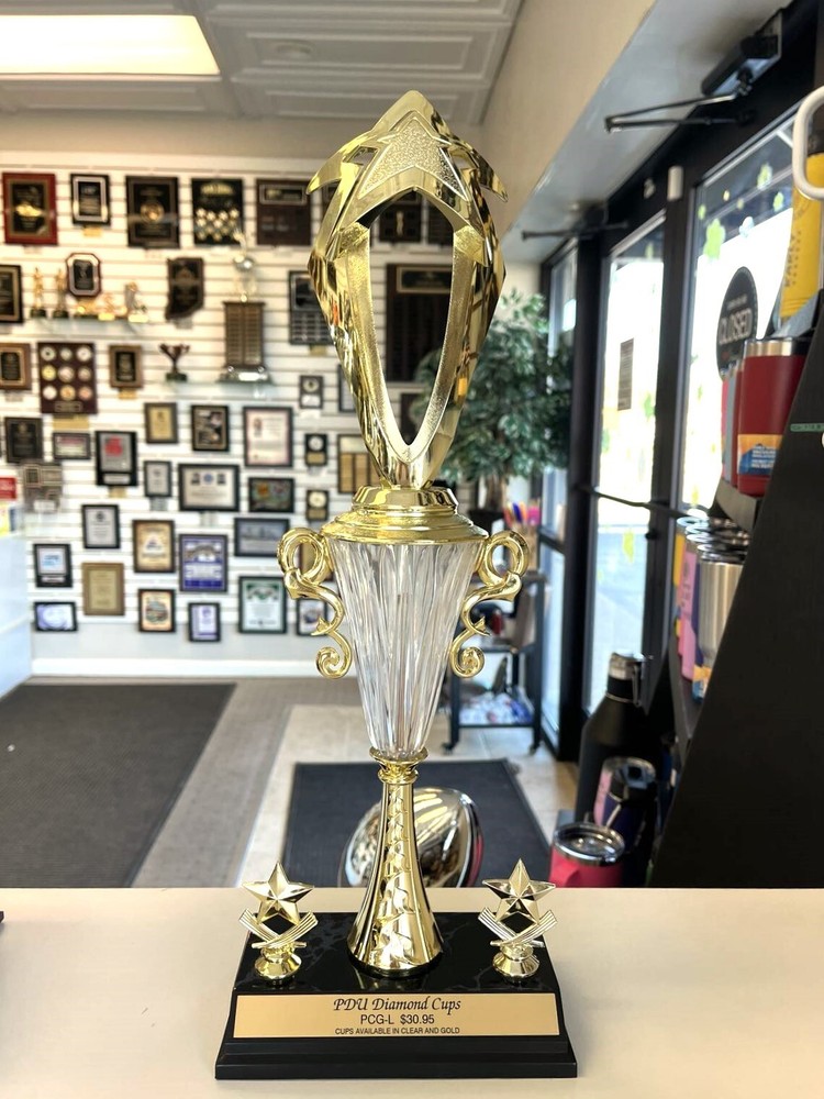 TROPHY CUP LARGE FREE LETTERING ACHIEVEMENT AWARD BEAUTIFUL P-PCG-M DIAMOND CUP