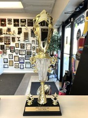 TROPHY CUP LARGE FREE LETTERING ACHIEVEMENT AWARD BEAUTIFUL P-PCG-M DIAMOND CUP