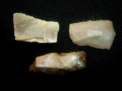 Lower Paleolithic Levallois technique.” Acheulian” 1.4MYA. The Eshelo-Yabrudic