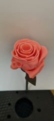Gothic Skull Rose 3d Printed Gift Perfect Wedding Or Friend Halloween Present