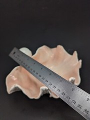 Vintage MCM Fitz & Floyd Seashell Footed Large Clamshell Bowl / Dish