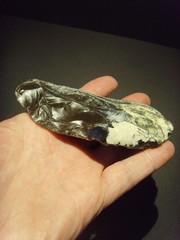 Lower Paleolithic – Superb Acheulean side scraper. c.450,000 BP.