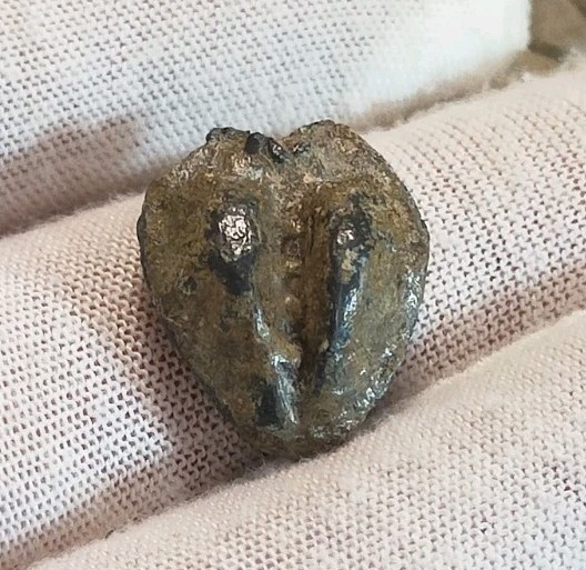 Unknown Lead Artifact Metal Detecting Find (396)