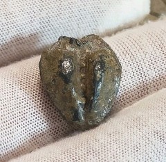 Unknown Lead Artifact Metal Detecting Find (396)
