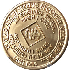 1 – 40 Year Official NA Medallion With Crystal AB Color Swarovski Crystal