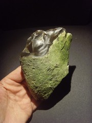 Lower Paleolithic – Large Acheulean oblique scraper. c.450,000 BP.