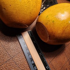 Vintage 2 WOODEN Golden APPLEs Hand carved hand painted Unbranded Beautiful