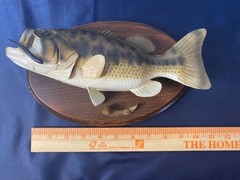 Decorative Replica Bass Fish Mounted Wood Plaque 11”