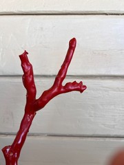 Faux Red Coral Specimen in Blue & White Floral Small Vase in Chinoiserie Chic St