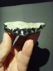 Lower Paleolithic – Fine Acheulean retouched ovate scraper. c.450,000 BP.