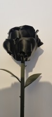 Gothic Skull Rose 3d Printed Gift Perfect Wedding Or Friend Halloween Present
