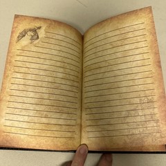 Lot Of 2 Dragon Faux Leather Scholastic Journal Diary Notebook No Locks