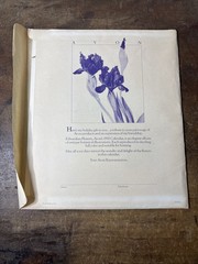 Vintage Avon Edwardian Flowers 1990 Calendar Botanical Lithograph PI-81147-9