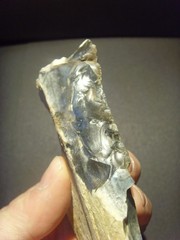 Lower Paleolithic – Finely worked Acheulean side scraper. c.450,000 BP.