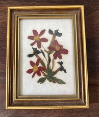 Vintage FLORALP TYROL Pressed Flowers (3) Framed Art Print Hand Made In Austria