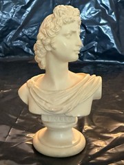 Vintage Neoclassical Grand Tour 7 Pc Bust Set