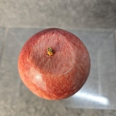 Vintage Polished Red Apple Marble Stone Fruit w/ Wood Stem