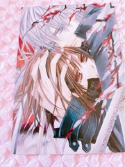 Vampire Knight Bonus Postcard Set 8, Rare Illustrations, Limited Edition, LaL